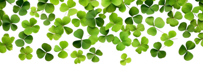 PNG Plant leaf backgrounds abundance.