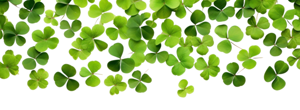 PNG Plant leaf backgrounds abundance.