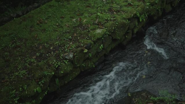 240422_miyazaki_3256