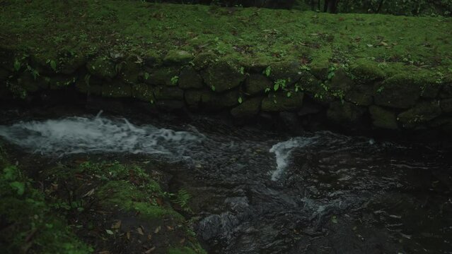 240422_miyazaki_3255