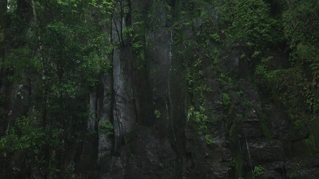 240422_miyazaki_3237