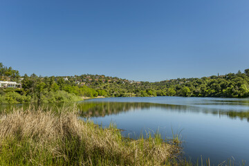 Views of a beautiful lake and houses half hidden among the trees on a clear sky day