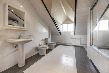 A bathroom with skylight windows with white toilets with a porcelain sink under a beveled mirror...