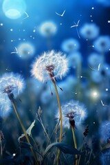 Dandelion seeds blowing in the wind on a blue background