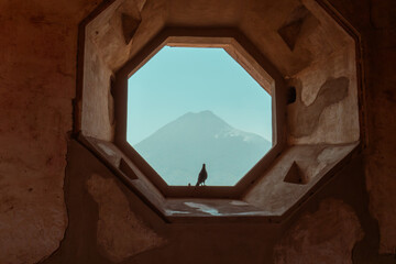 View of volcano through window from old building with a bird 