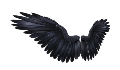 3d render fantasy black crow wings isolated