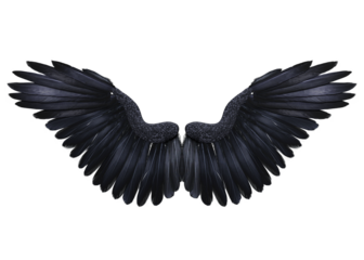 3d render fantasy black crow wings isolated