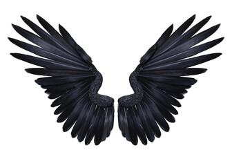 3d render fantasy black crow wings isolated