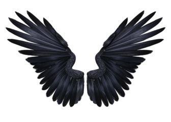3d render fantasy black crow wings isolated