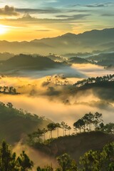 The morning landscape in the valley Da Lat, Vietnam with fog covered and sunrise background is so blurry, so beautiful and peaceful
