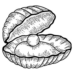 Pearl shell sketch engraving PNG illustration. T-shirt apparel print design. Scratch board style imitation. Black and white hand drawn image.
