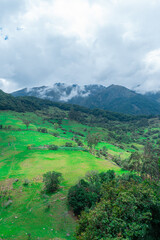 Obraz premium WOODED PARAMO LANDSCAPE IN COLOMBIA WITH CROPS IN THE LOWER PART OF THE MOUNTAIN