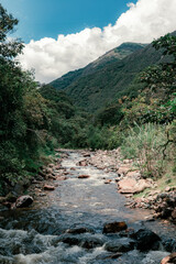 VERTICAL LANDSCAPE WITH DESATURATED COLORS OF A RIVER WITH STONES IN THE MIDDLE OF THE JUNGLE MOUNTAINS OF COLOMBIA