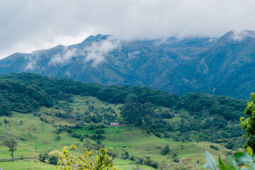 WOODED PARAMO LANDSCAPE IN COLOMBIA WITH CROPS IN THE LOWER PART OF THE MOUNTAIN