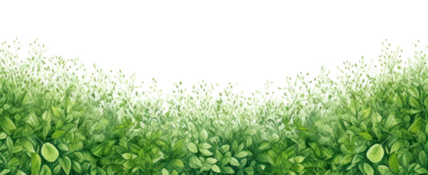 PNG  Nature green backgrounds outdoors.