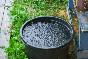 A black barrel for collecting rainwater. Collecting rainwater in plastic container. Collecting...