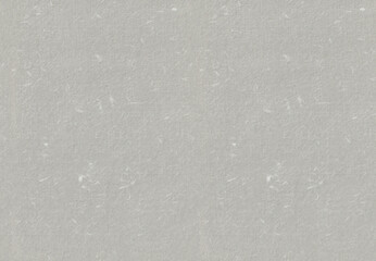 Seamless smooth grey paper texture with rare white spots. Decorative backdrop surface wallpaper background.