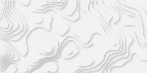 Modern black and white carve wave line abstract luxury papercut background. vector minimal light element shadow landscape wave element curve graphic papercut design.
