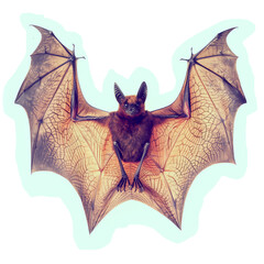 Cut out faded photo of halloween bat