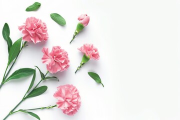 Mother's Day, Happy Mother's Day, Carnations, Mother's Day, Carnations, Happy Mother's Day,