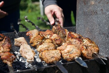 meat, shish kebab, barbecue, fry meat, grill, picnic, vacation, holidays, summer, pork, beef, kitchen, cooking