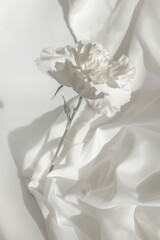 Fototapeta premium Mother's Day, Carnations, Happy Mother's Day,