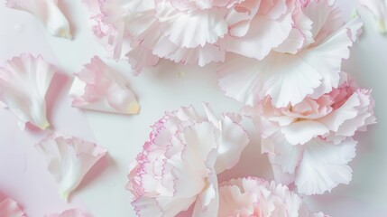 Mother's Day, Happy Mother's Day, Carnations, Mother's Day, Carnations, Happy Mother's Day,