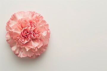 Mother's Day, Carnations, Happy Mother's Day,