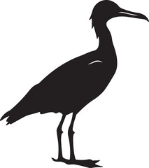 Albatross Silhouette Vector Illustration White Background