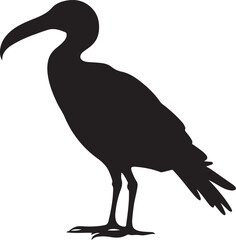 Albatross Silhouette Vector Illustration White Background