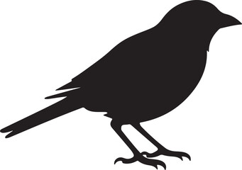 Finch Silhouette Vector Illustration White Background