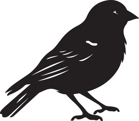 Finch Silhouette Vector Illustration White Background