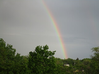 bright rainbow above homes and forests