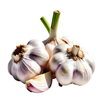 Garlics in the studio shot for a Thai food ingredient.