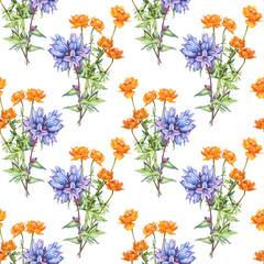 Seamless pattern with watercolor bouquet with bellflower and frying flowers Trollius on white background. Orange blue summer wildflower. Meadow herbs. Botanical art for wallpaper or wrapping
