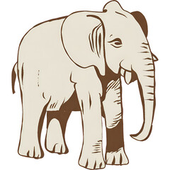 Fototapeta premium elephant isolated on white background