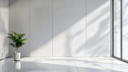 Obraz premium Minimalist photography background