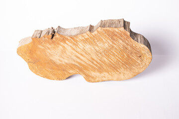 Cross section of a crooked tree trunk with growth rings on a white background. Close-up.