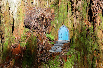 small blue door made of polymer clay on in nature like a fairy house close up