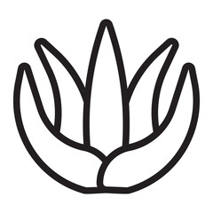 aloe vera line icon