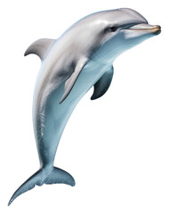 PNG A dolphin animal mammal fish. © Rawpixel.com