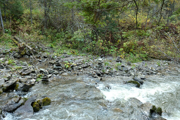 A stormy stream of a fast-moving river flows down from the mountains through an autumn forest on a cloudy morning.