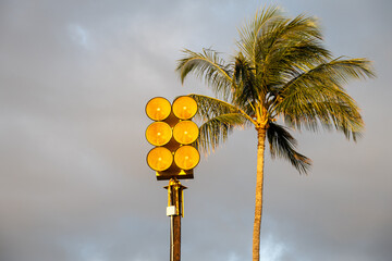 Bright yellow tsunami sirens and palm trees against a cloudy sky at sunset, pacific ocean tidal...