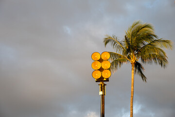 Bright yellow tsunami sirens and palm trees against a cloudy sky at sunset, pacific ocean tidal...