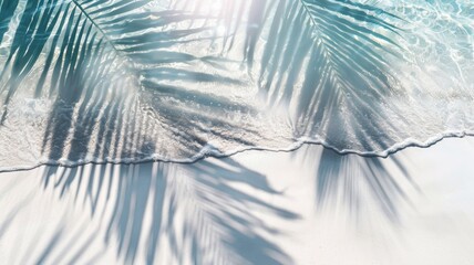 Obraz premium Top view of tropical leaf shadow on water surface. Shadow of palm leaves on white sand beach. Beautiful abstract background concept banner.