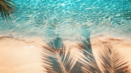 Obraz premium Top view of tropical leaf shadow on water surface. Shadow of palm leaves on white sand beach. Beautiful abstract background concept banner.
