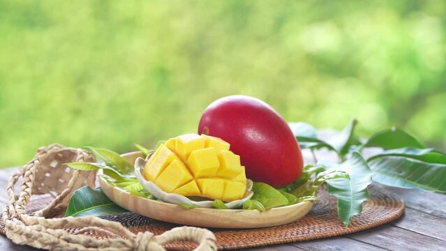 Red mango in Bamboo basket on wooden table in garden, Fresh Japanese Elegant mango fruits &ldquo;Egg of the Sun&rdquo; in basket on blurred greenery background.