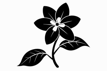 jasmine black and white flower silhouette on white background, Vector illustration, bird, icon, svg, characters, Holiday t shirt, Hand drawn trendy Vector illustration, flower