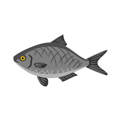 Vector drawing fish, freshwater bream isolated at white background, hand drawn vector illustration
