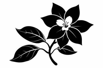 jasmine black and white flower silhouette on white background, Vector illustration, bird, icon, svg, characters, Holiday t shirt, Hand drawn trendy Vector illustration, flower